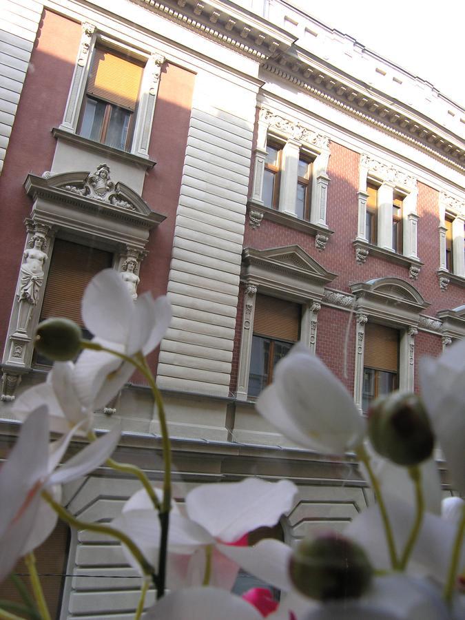 Apartment Danijela-City Centar Beograd Eksteriør bilde