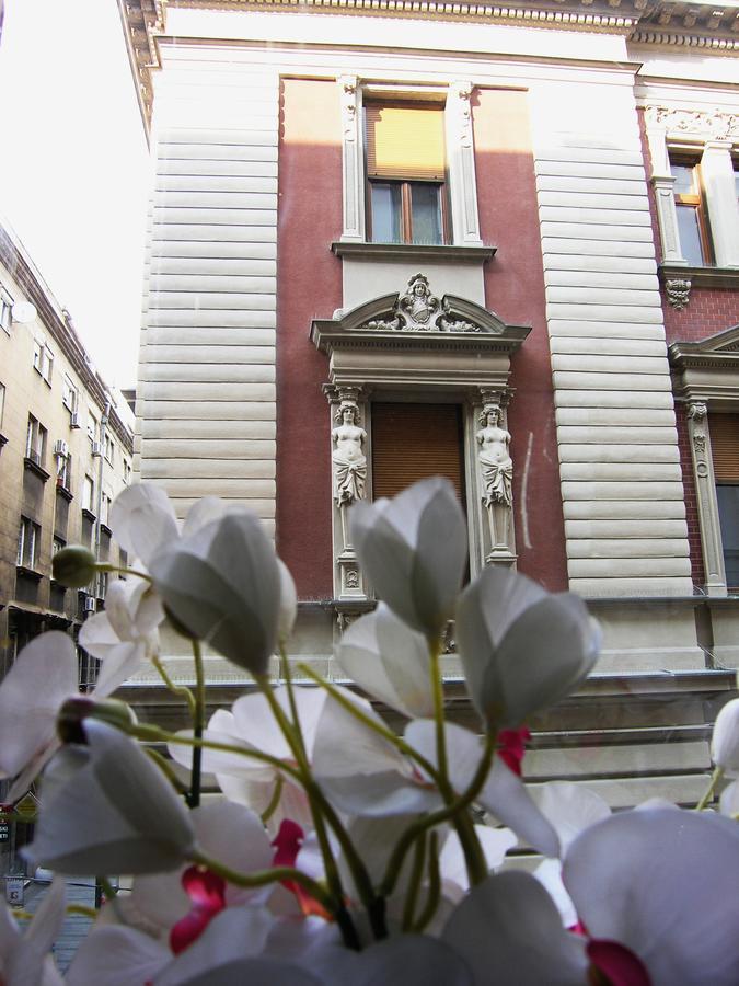 Apartment Danijela-City Centar Beograd Eksteriør bilde